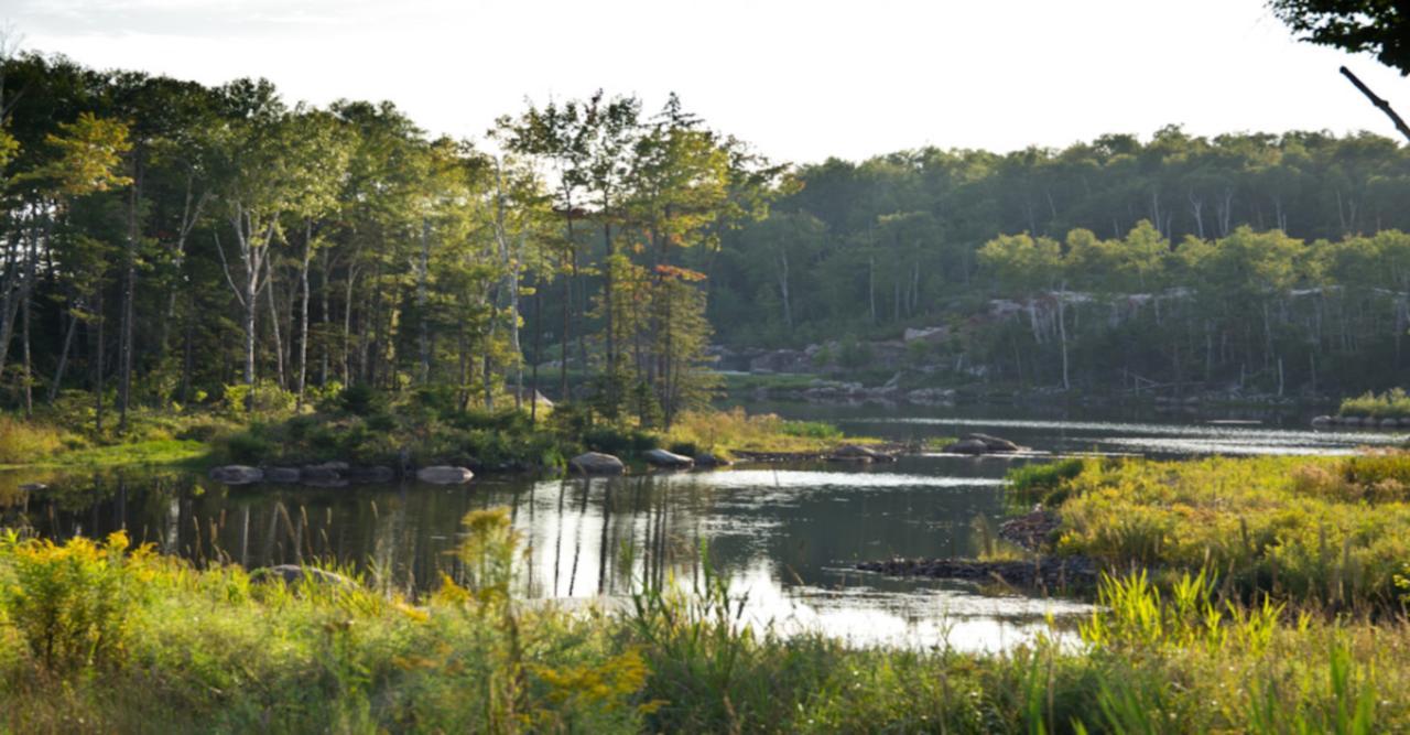 Etoile Du Matin By Rendez-Vous Mont-Tremblant Apartment Ngoại thất bức ảnh